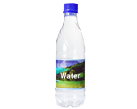 Bottle Hidden Camera